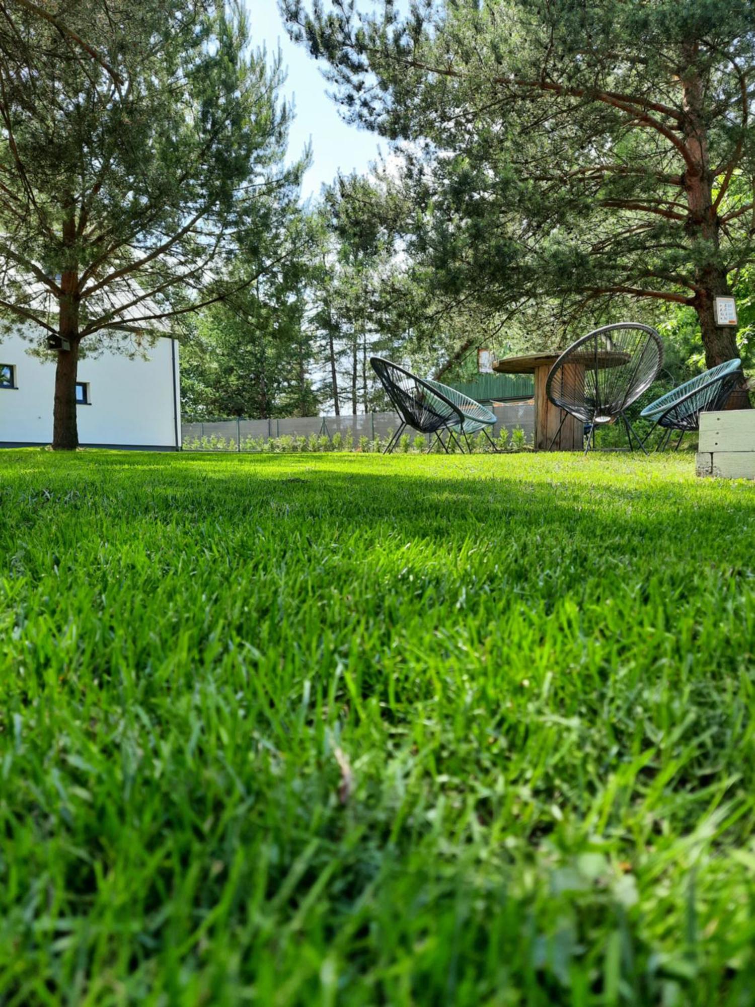Sosnowe Zacisze Sasino Exterior foto