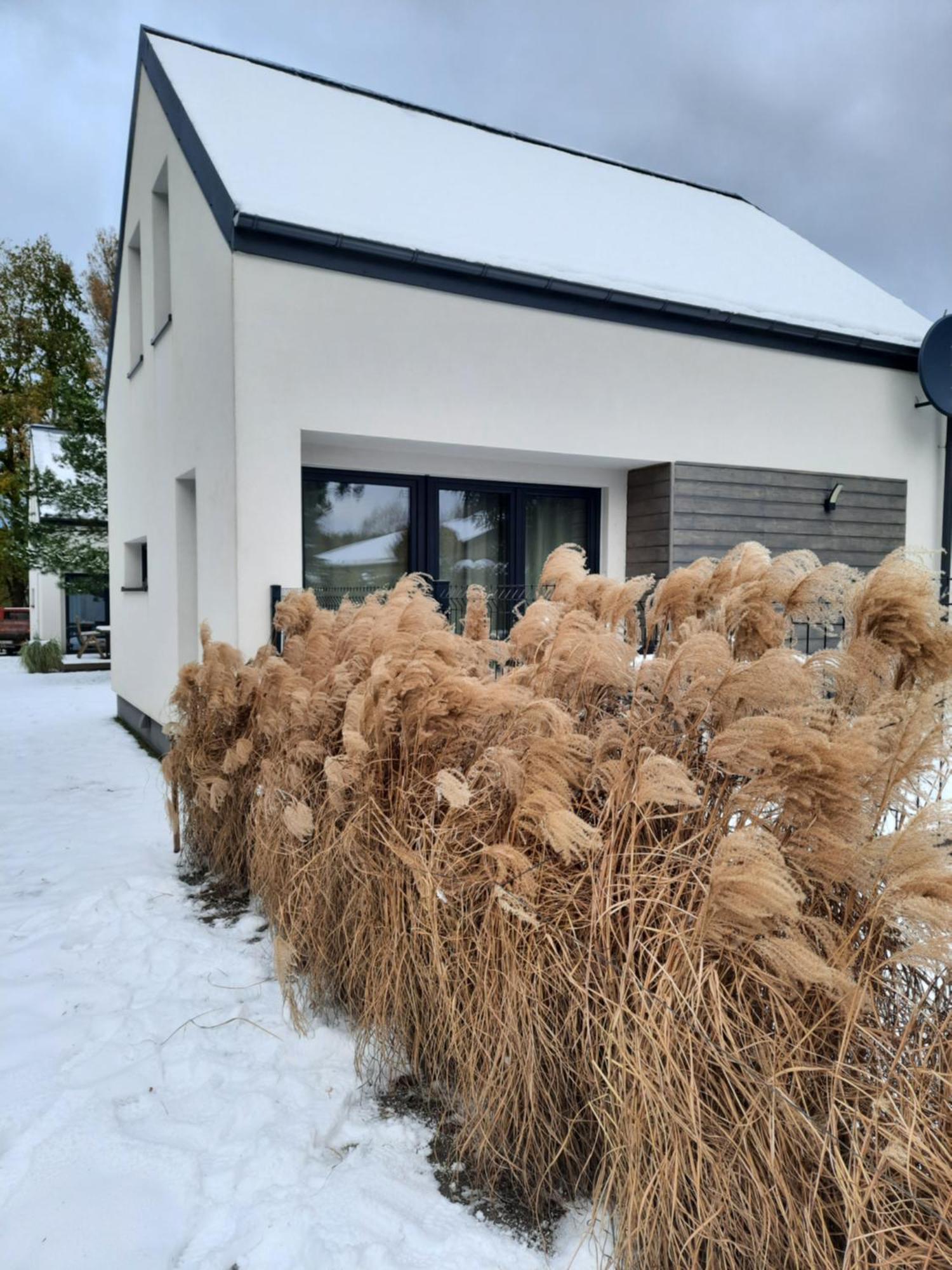 Sosnowe Zacisze Sasino Exterior foto