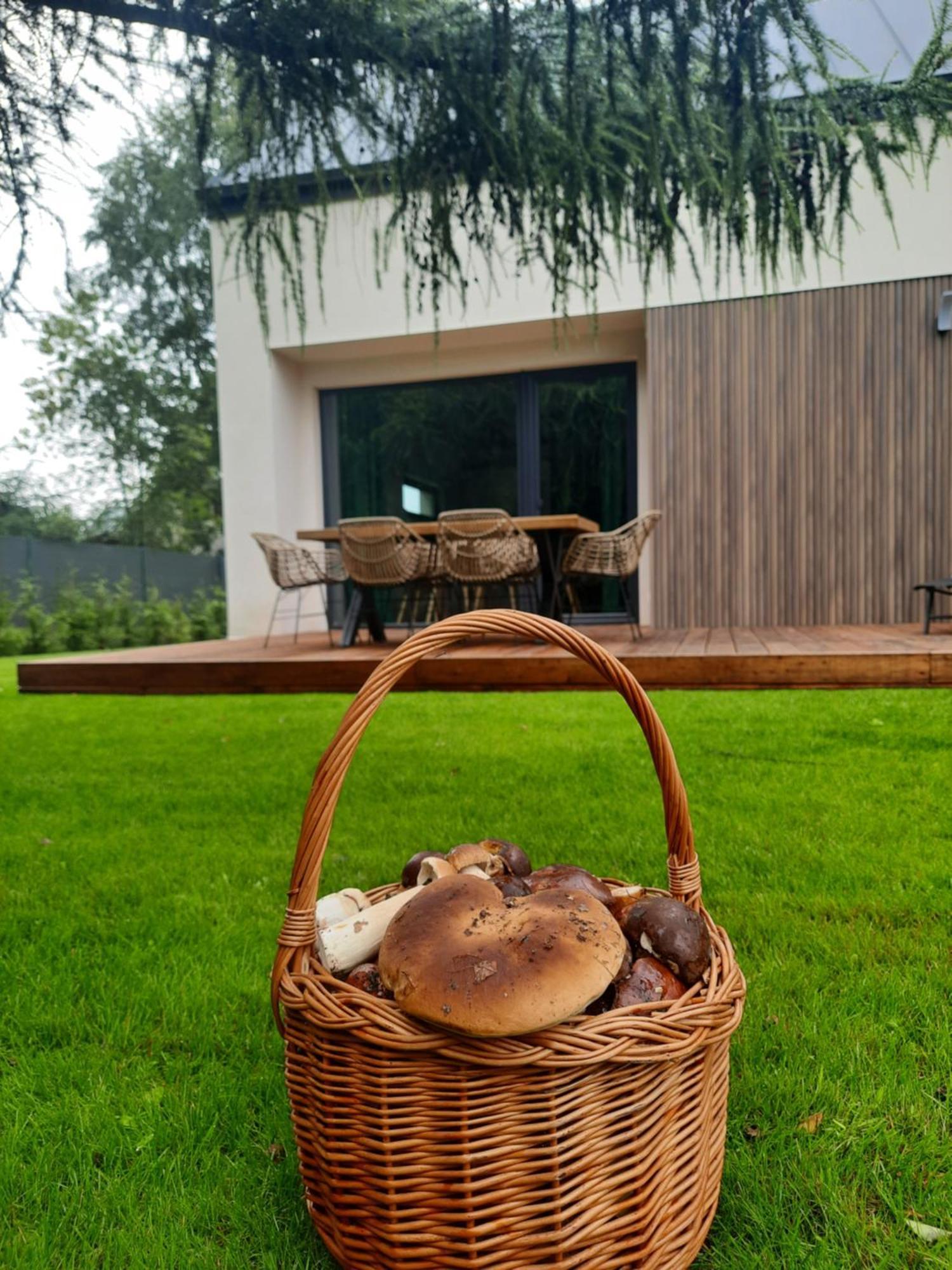 Sosnowe Zacisze Sasino Exterior foto