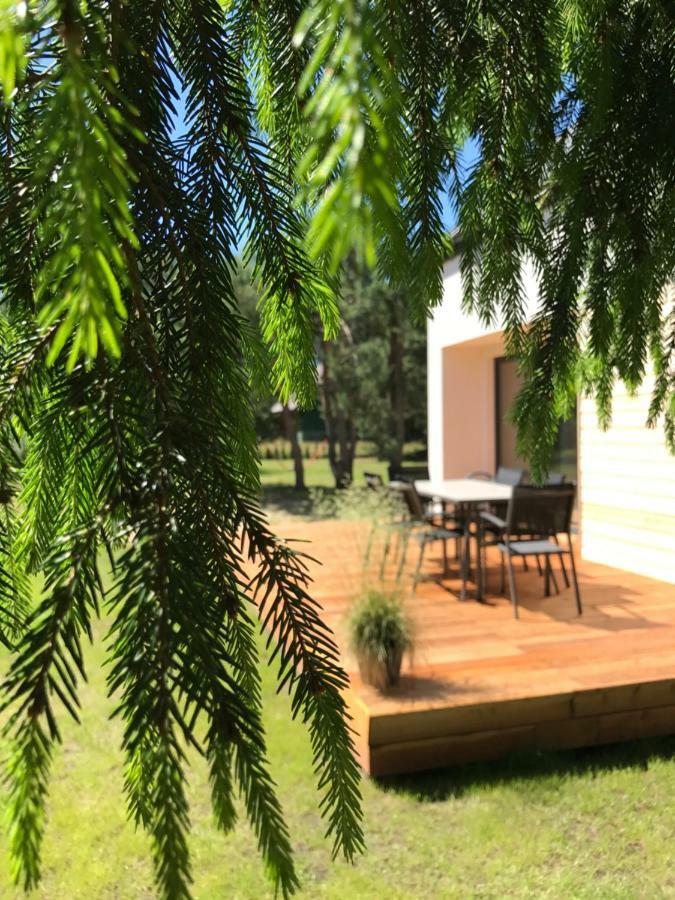 Sosnowe Zacisze Sasino Exterior foto